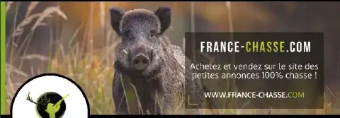 France-Chasse.com : La Plateforme Indispensable pour les Chasseurs Passionnés