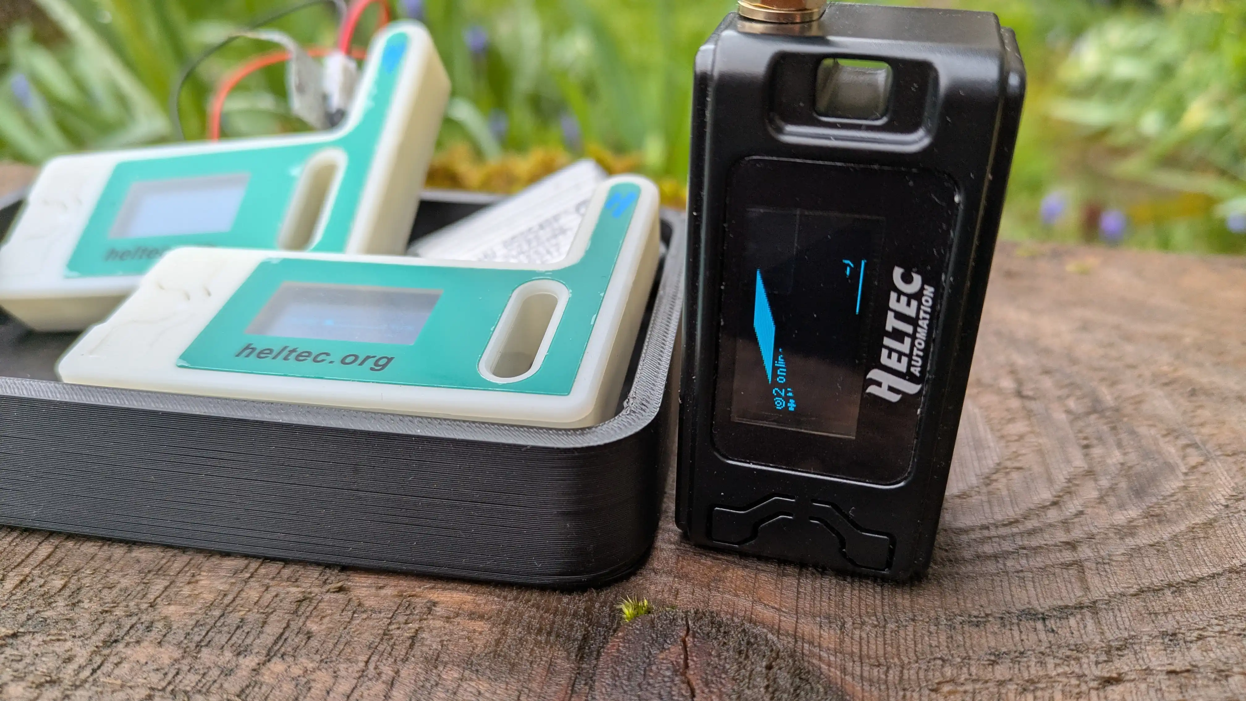 Photo : Heltec V3 et V4 côte à côte, avec antennes montées